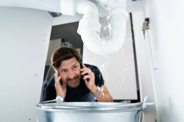 Best Plumbing Inspection Services  in Presquille, LA